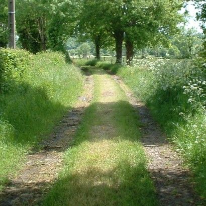 Le chemin des Galibots*