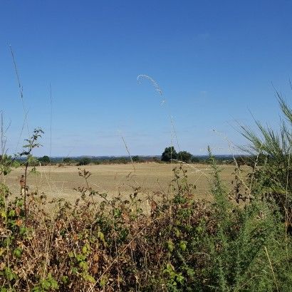 Autour de Mirémont