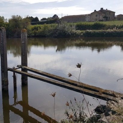 La nature sous chacun de nos pas