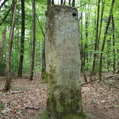Chemins des assemblées du désert