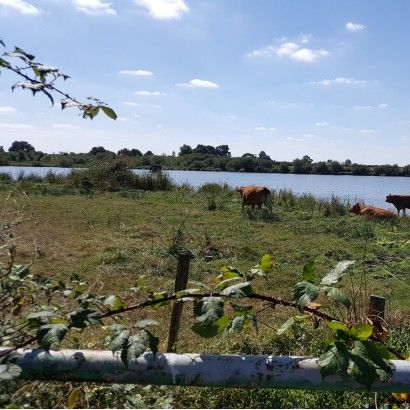 Les landes de l’Etang