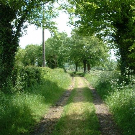 Le chemin des écoliers