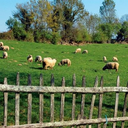 Aux portes de la Vendée