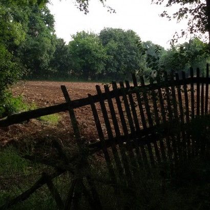 Le chemin creux de l’Orère