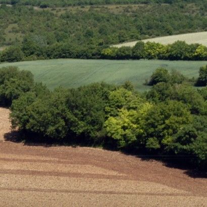Les vallons de Gâtine
